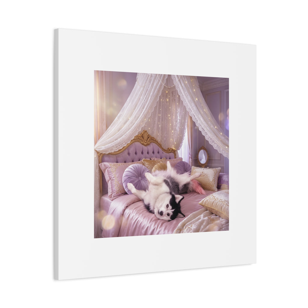 GROWING UP GIGI ROYAL NAP JUST SHOWS THE LOVELY CRAZY POMSKY AT HER BEST. — Cozy Purple Canopy Bedroom Wall Art